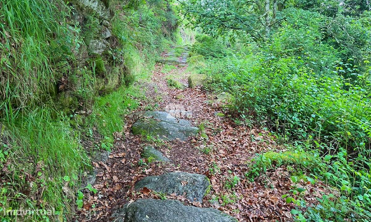 Terreno 4.250m² - Grade - Grande imagem: 5/7