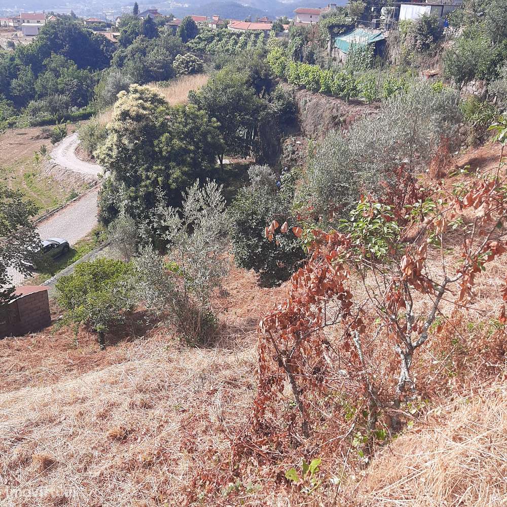 Casa em pedra para reconstruir Canelas Penafiel-31