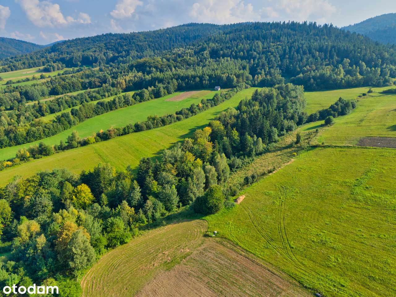 Wyjątkowa Działka Inwestycyjna (1,78 ha) BOGUSZA - Pełny obrazek: 4/7