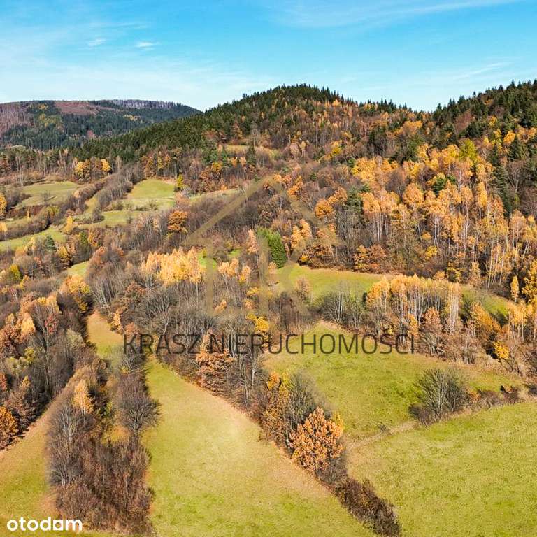 Widokowa działka rolna w Zawadce k/Tymbarku - Pełny obrazek: 5/7