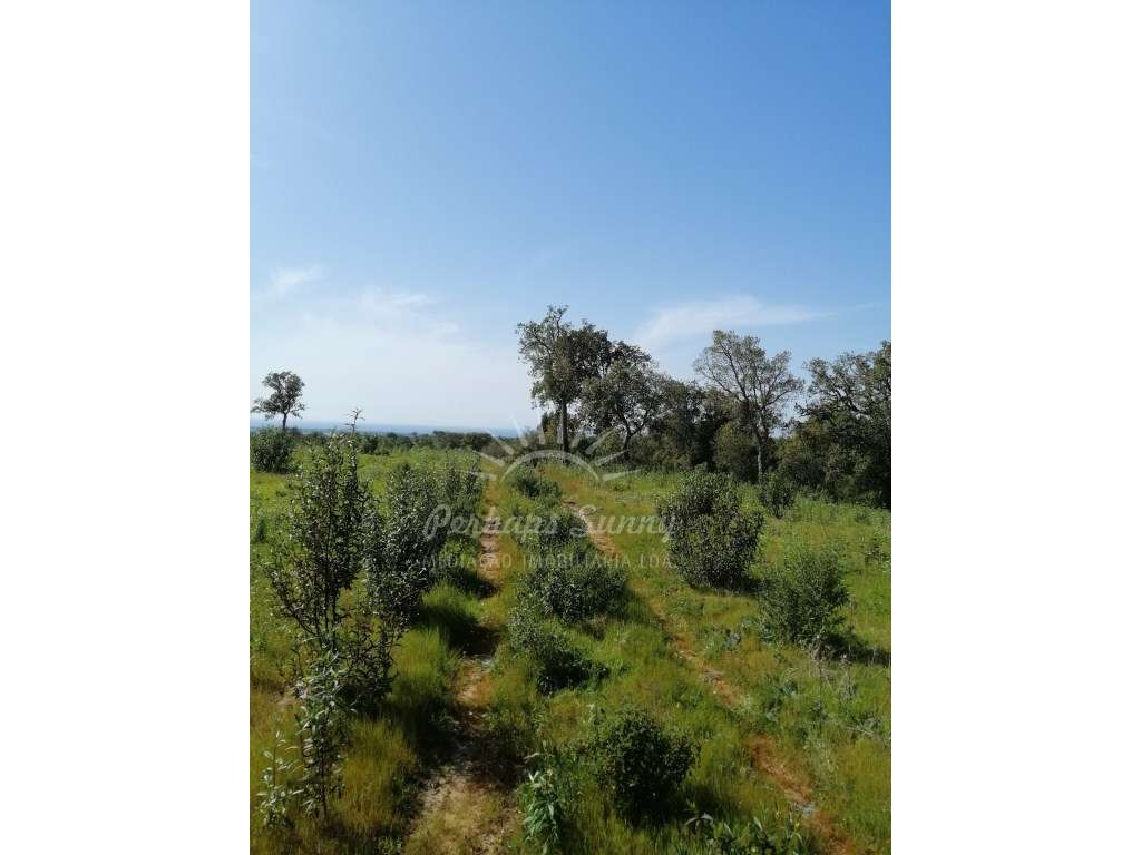 Terreno Rústico - Grande imagem: 3/16