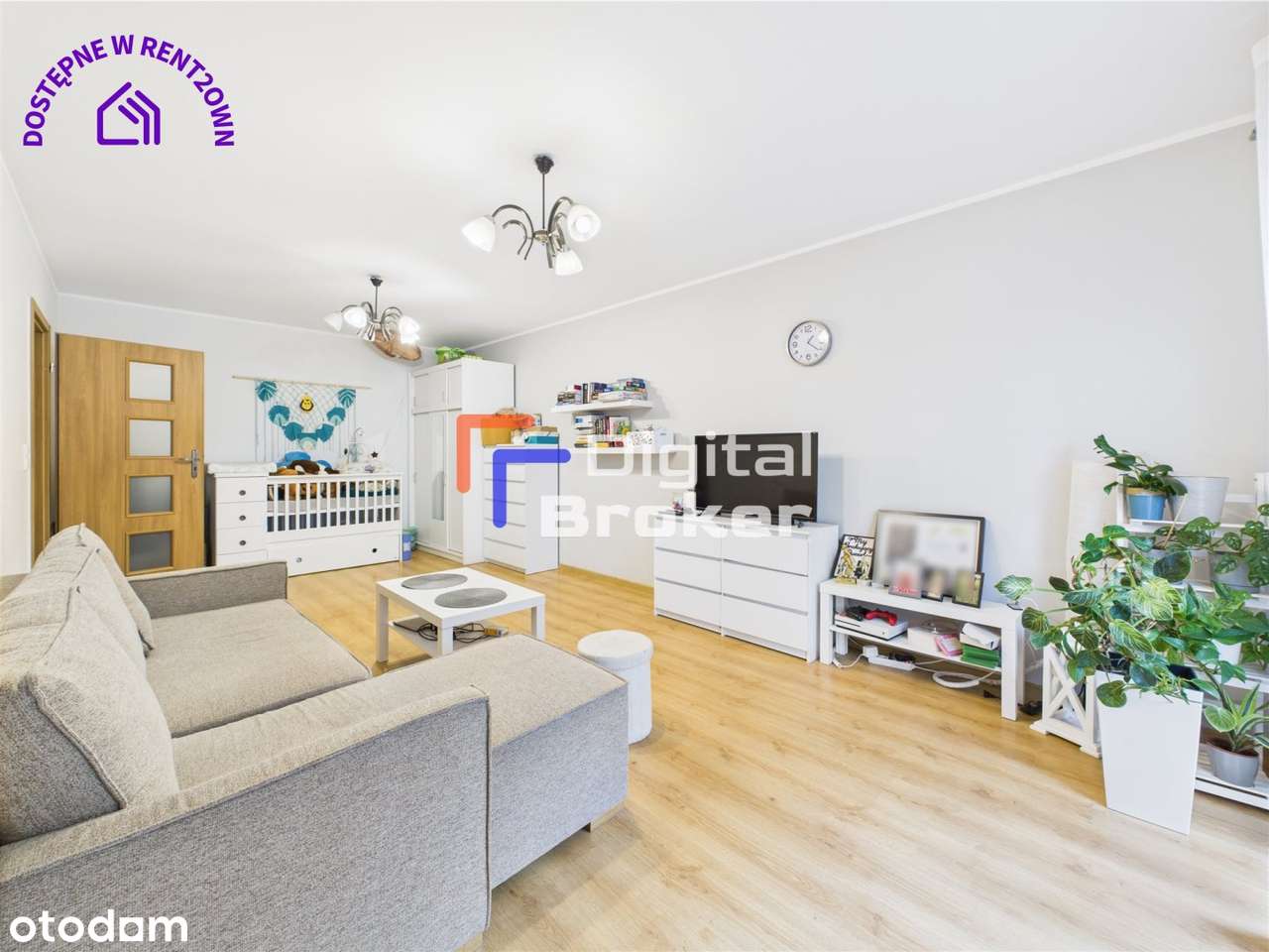 Rynarzewska - 2 pokoje - 50m2 - Pełny obrazek: 2/14