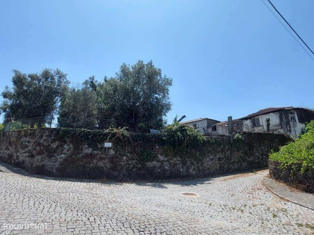 Quintinha - Crespos - Grande imagem: 2/8