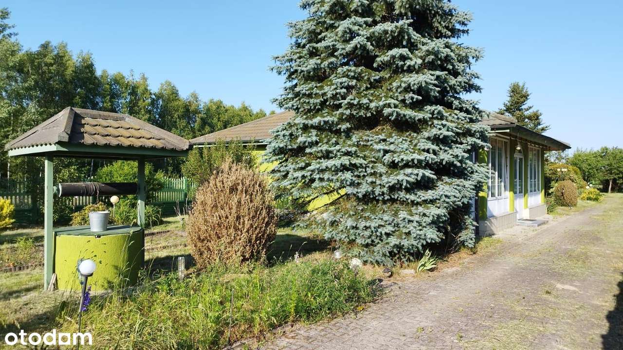 Bulianów, dom 72 m kw., cicha okolica - Pełny obrazek: 4/20