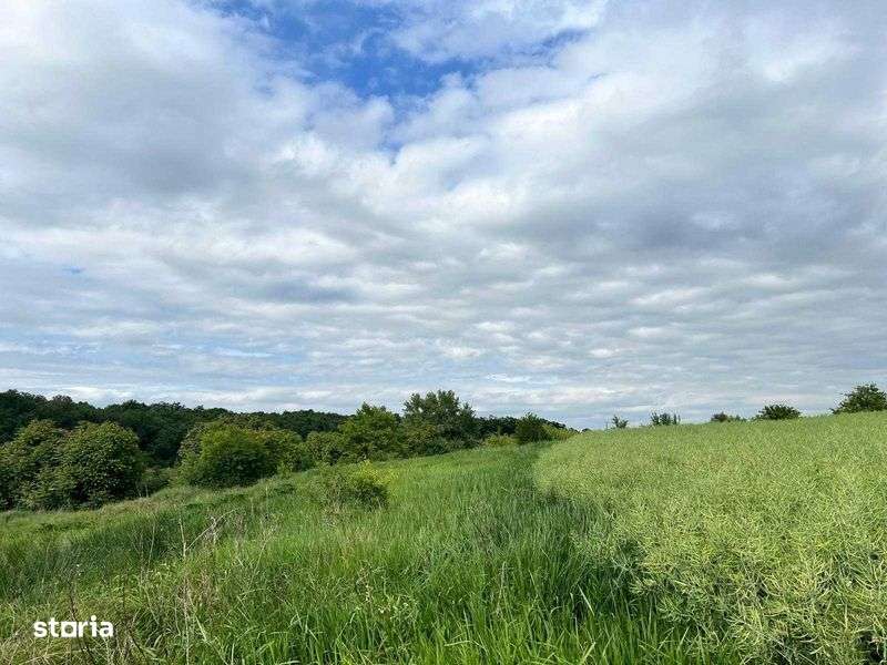Teren 50000 m.p., 5 Ha, lac Caldarusani, 7 €/m.p. - Imagine principală: 5/8