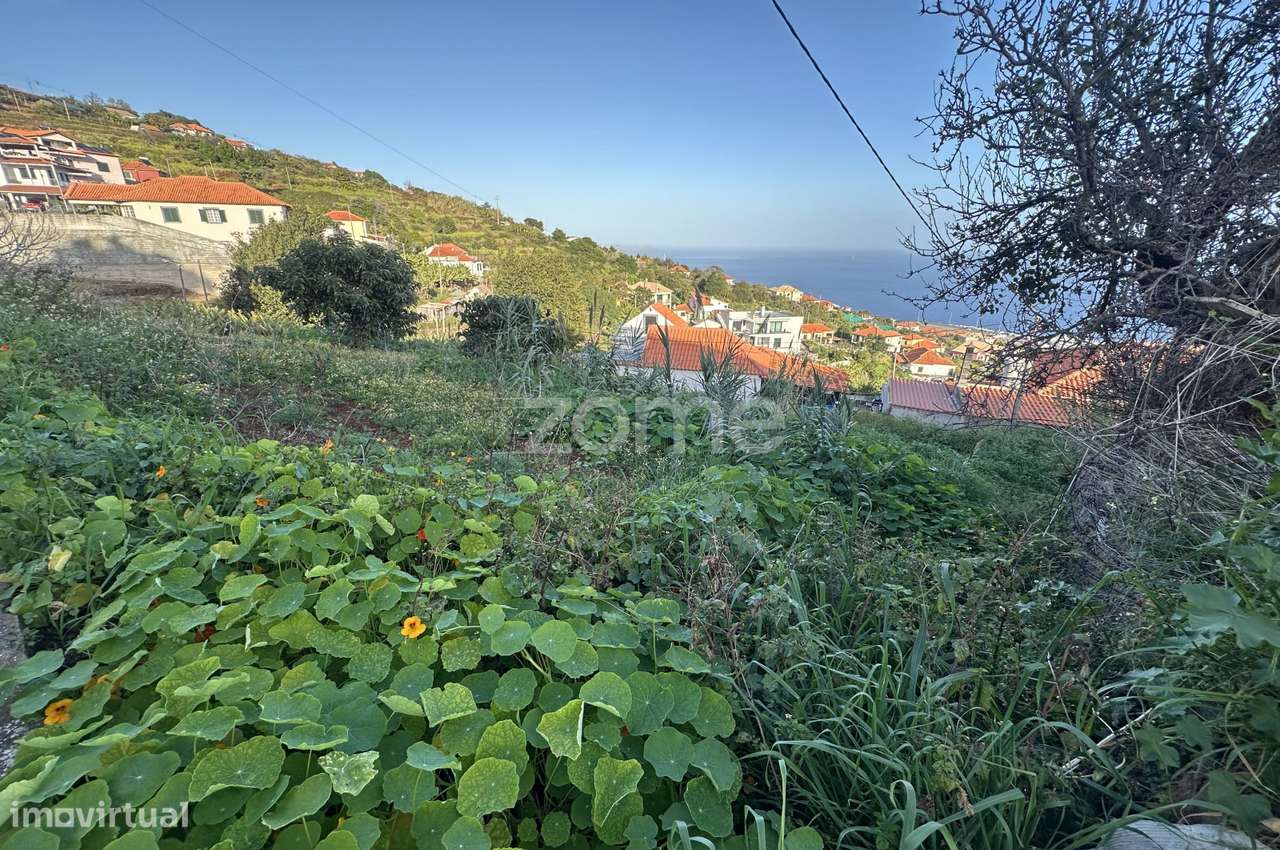 Terreno para construção em Santa Cruz-11