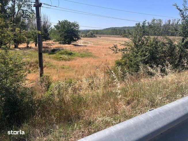 Teren agricol cu potential – 24.834 mp, zona Podul Jiului-12