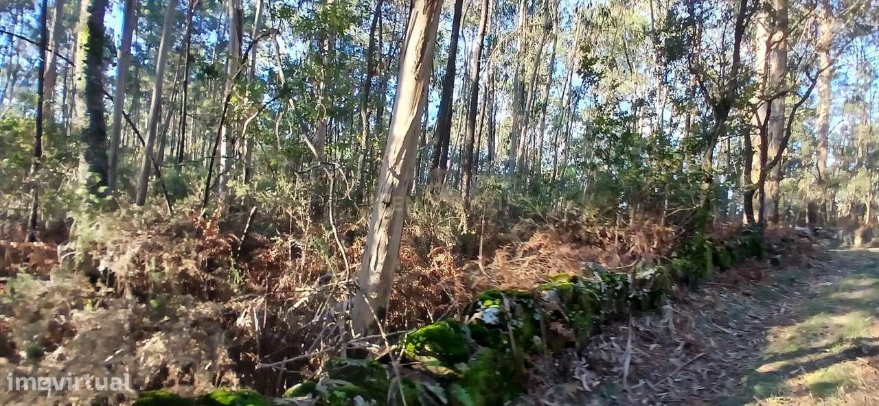 Terreno Rústico em Vilar de Figos, Barcelos com Vista para a Montanha - Grande imagem: 4/6