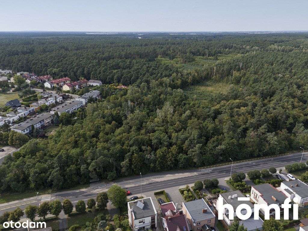 Wągrowiec-bliźniak na sprzedaż z ogordem - Pełny obrazek: 4/17