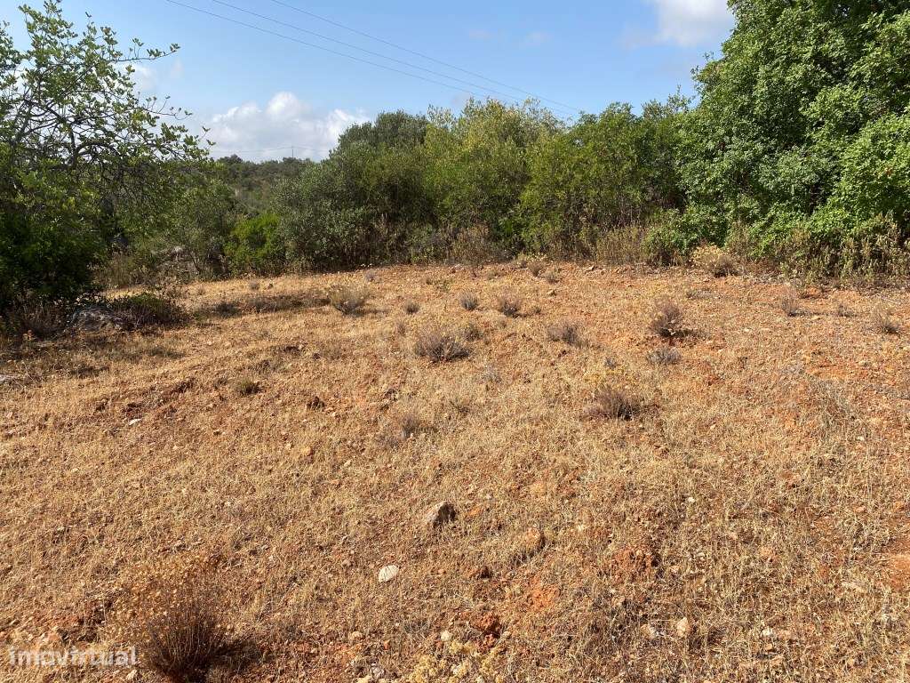 Lote de Terreno Rústico no Serro dos Passarinhos, Loulé, Algarve - Grande imagem: 2/19