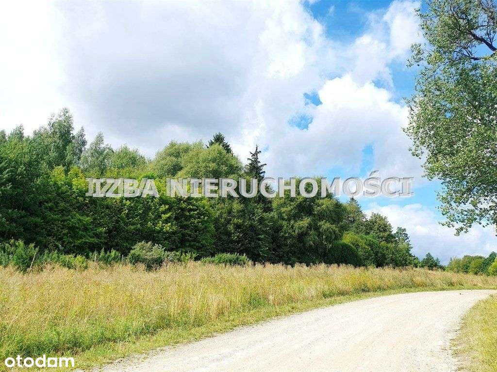 Działka, 3 000 m², Szarejki - Pełny obrazek: 5/19