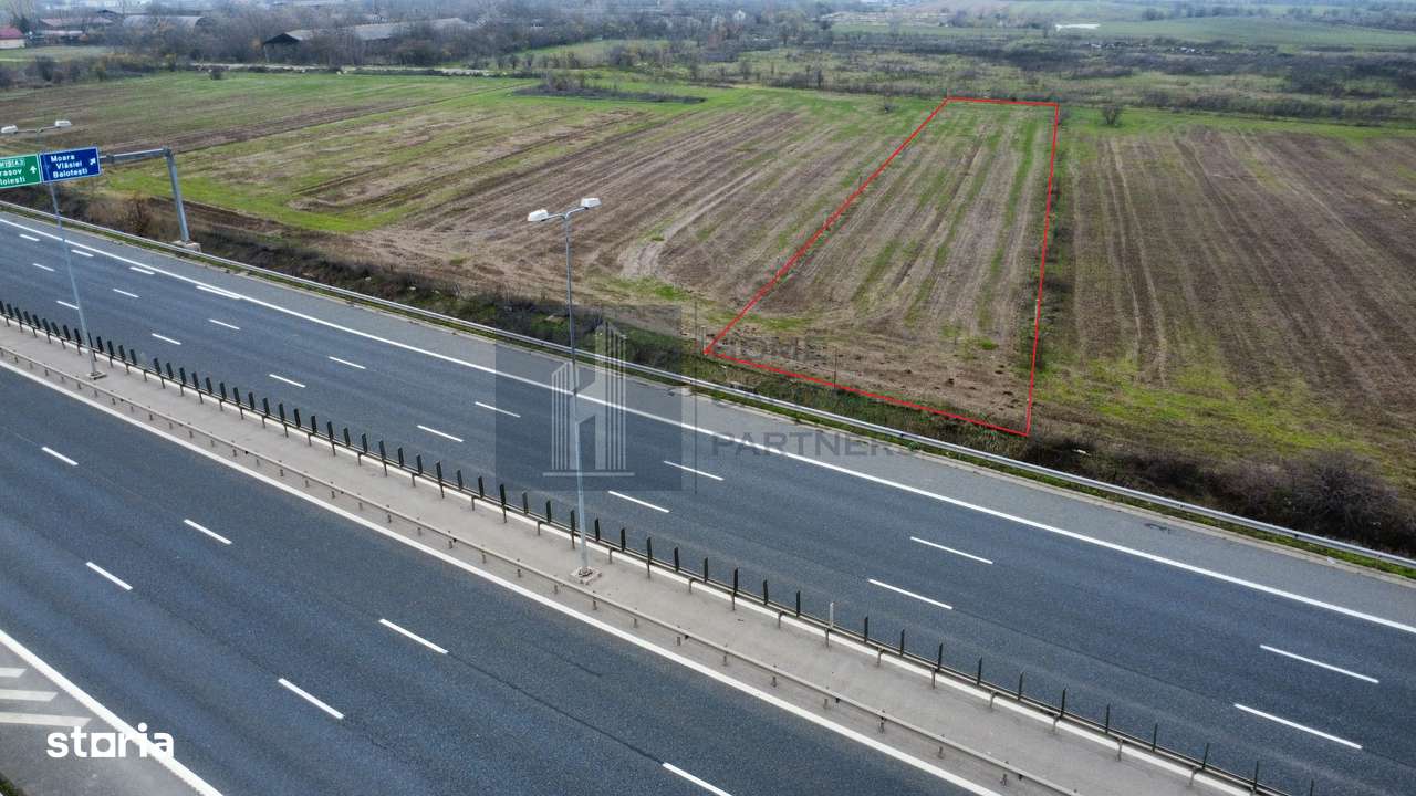 Teren 2727mp | Moara Vlasiei, Caciulati | A3 - Imagine principală: 2/4