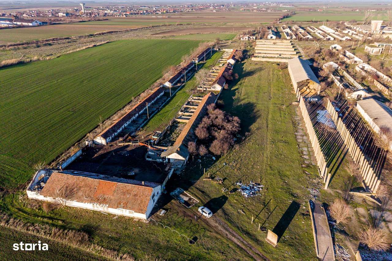 Ferma 11.5 HA lângă DN7 & Autostrada E68 – Nădlac | clădiri+utilități - Imagine principală: 5/7
