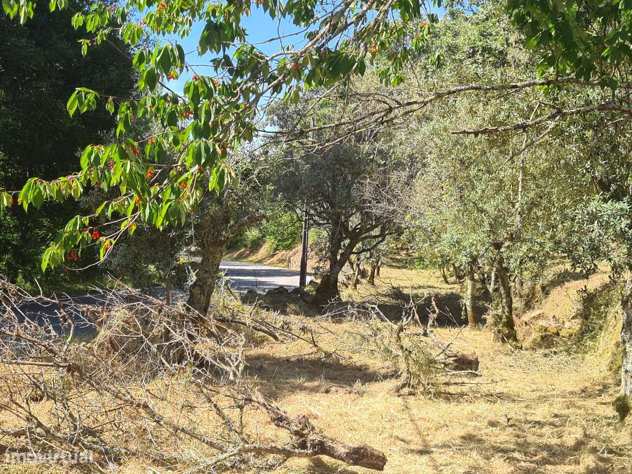 Marvão - Moradia ant. 1951 - Lote 2878 m2, Serra S. Mamede-5