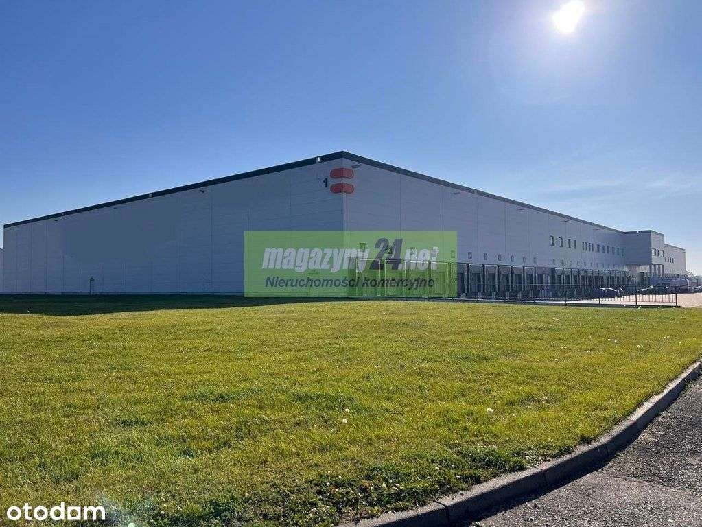 Magazyn 2500 m2 Piotrków Tryb - Pełny obrazek: 4/5