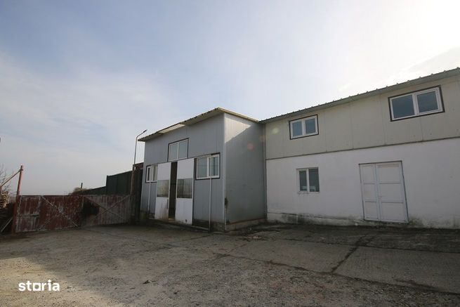 Vindem 2 Hale Si Teren 2736 mp Magura Vizavi de Farbe-2