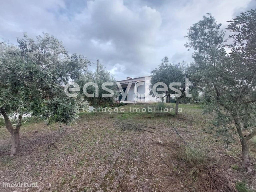 Terreno Rústico com 13.750m2, com Apoio Agrícola registad...