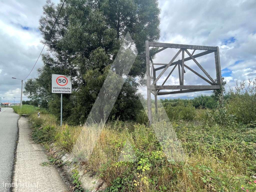 Terreno com projeto aprovado para pavilhão em Albergaria-a-Velha! - Grande imagem: 3/13