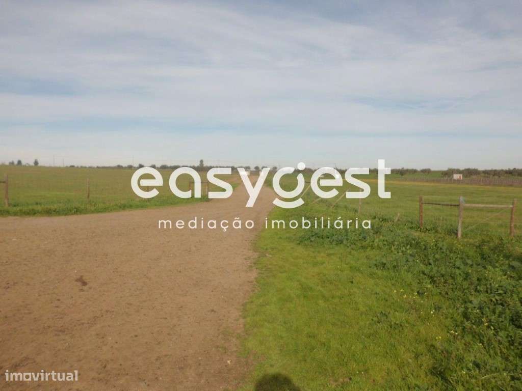 Terreno rústico em Cuba no perímetro de rega do Alqueva - Grande imagem: 2/7