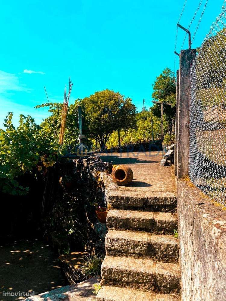 Quinta com 5250 m² & Moradia T1 em Pedra – Baião-13