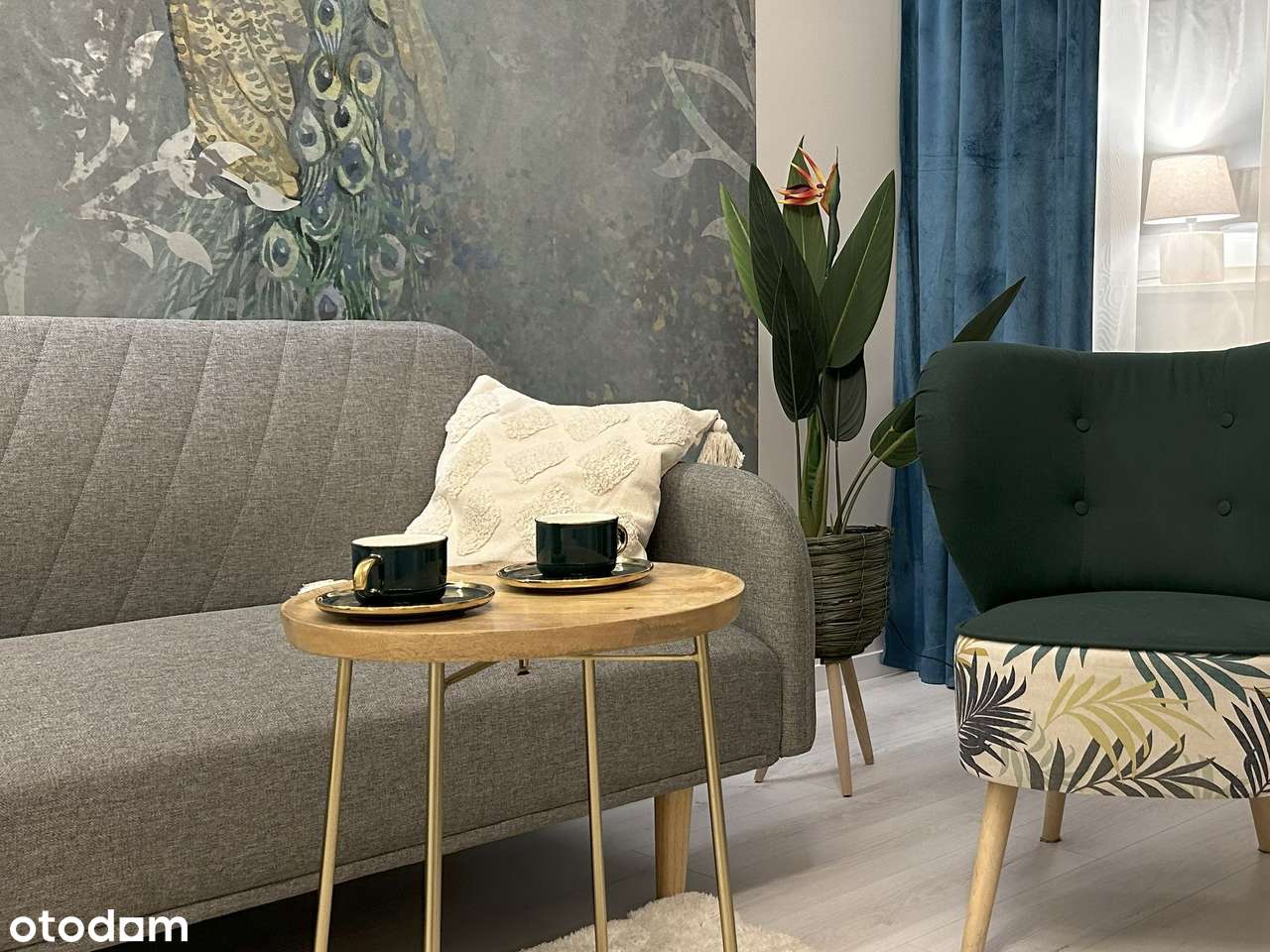 Super oferta ! 2 pokoje po generalnym remoncie – Nowy Dwór, 36 m² - Pełny obrazek: 2/5