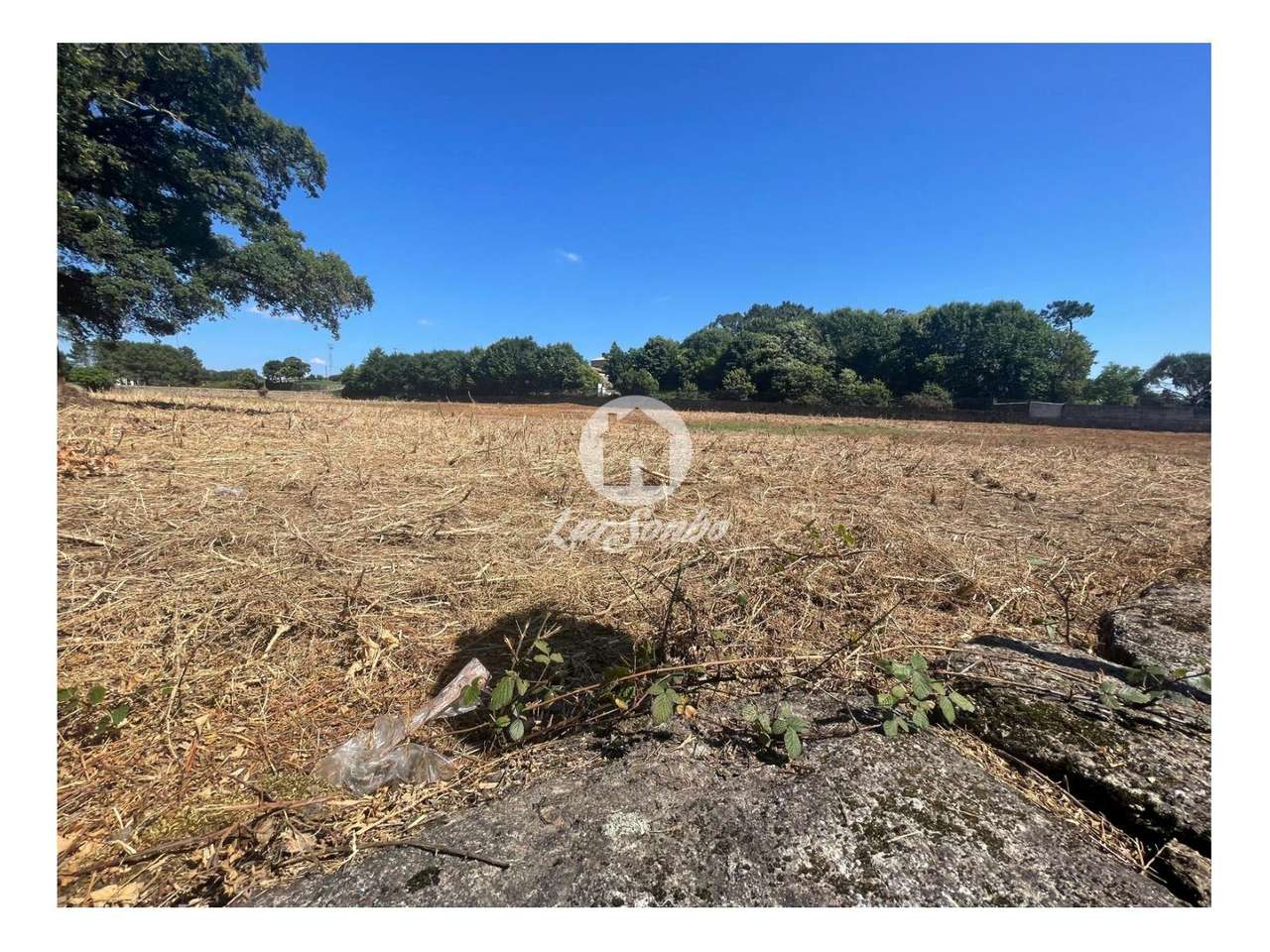 Terreno Rústico de 15.000m2 em Alvelos, Barcelos - Grande imagem: 4/5
