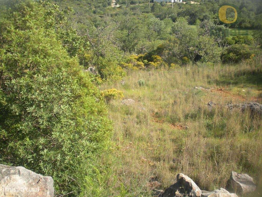 Terreno Rústico Venda Loulé - Grande imagem: 5/5