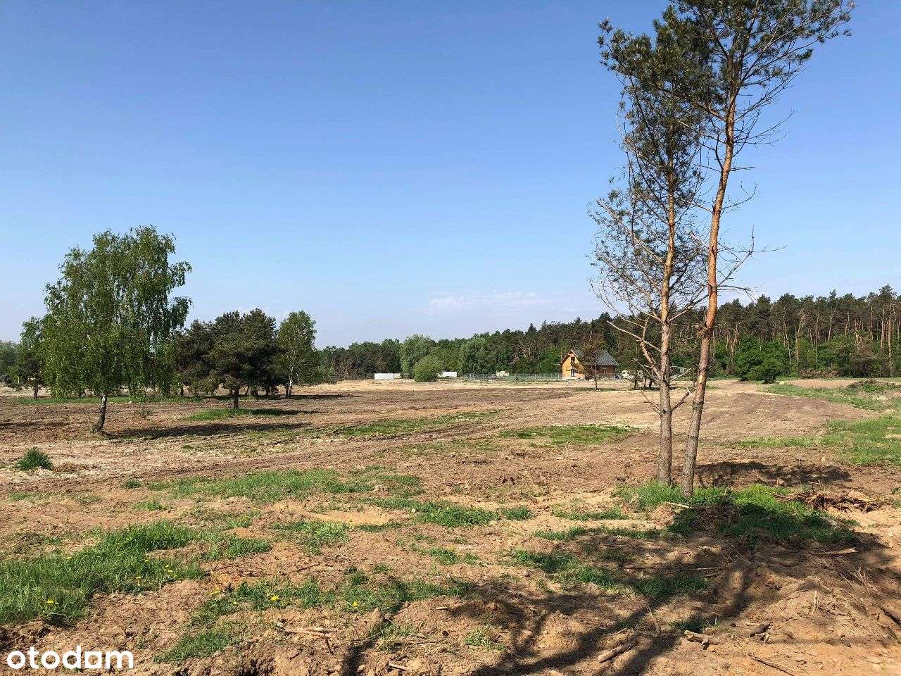 Działka budowlana w Marzeninie-100 zł/m2 - Pełny obrazek: 5/18