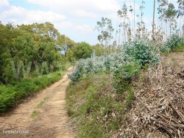 Terreno - Grande imagem: 3/4