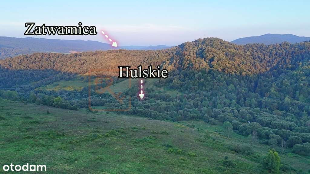 Hulskie / Krywe Działka 7.26ha Dzikie Bieszczady - Pełny obrazek: 5/10