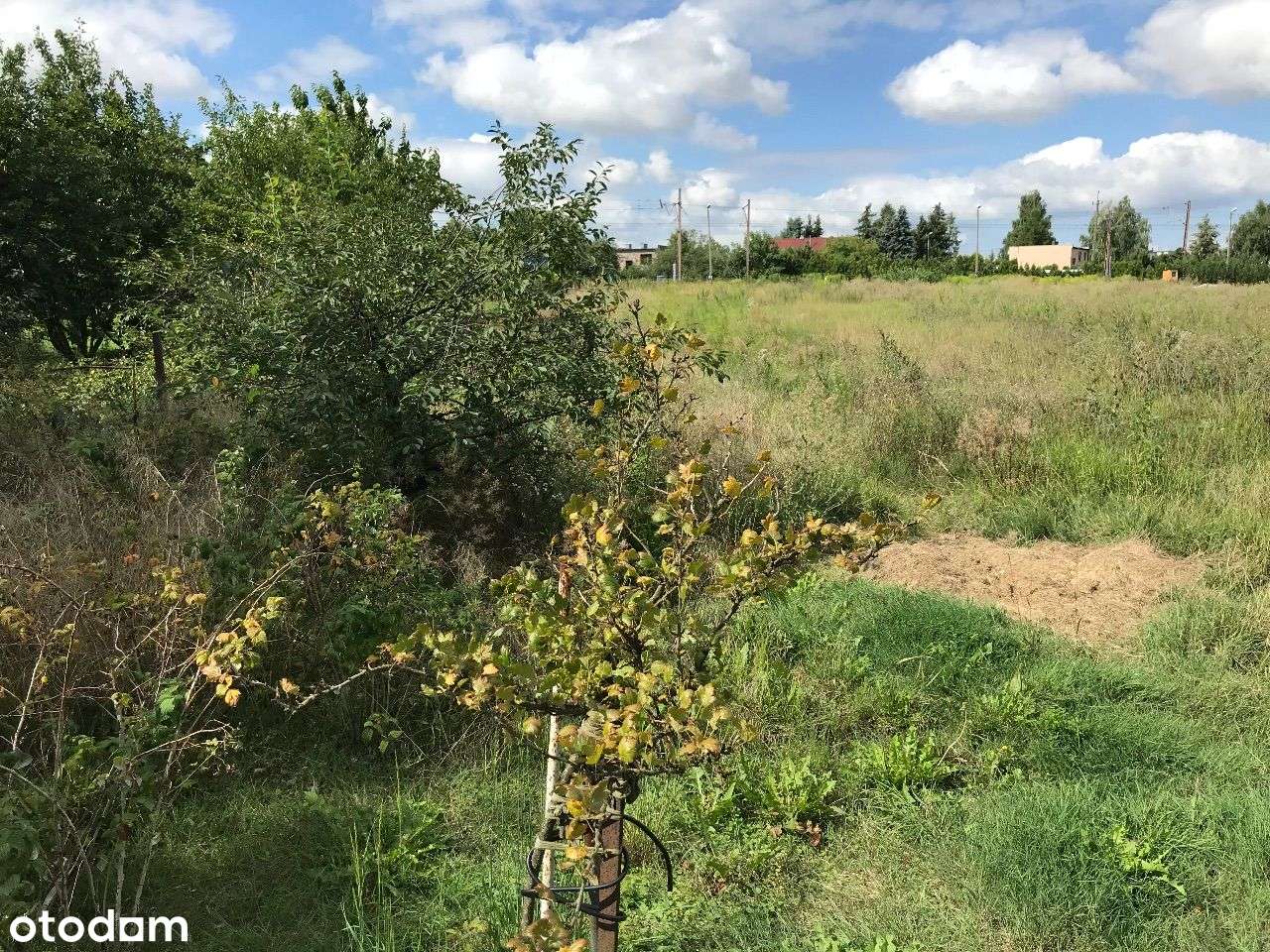 ROKIETNICA | dom do remontu/rozbudowy/rozbiórki-12