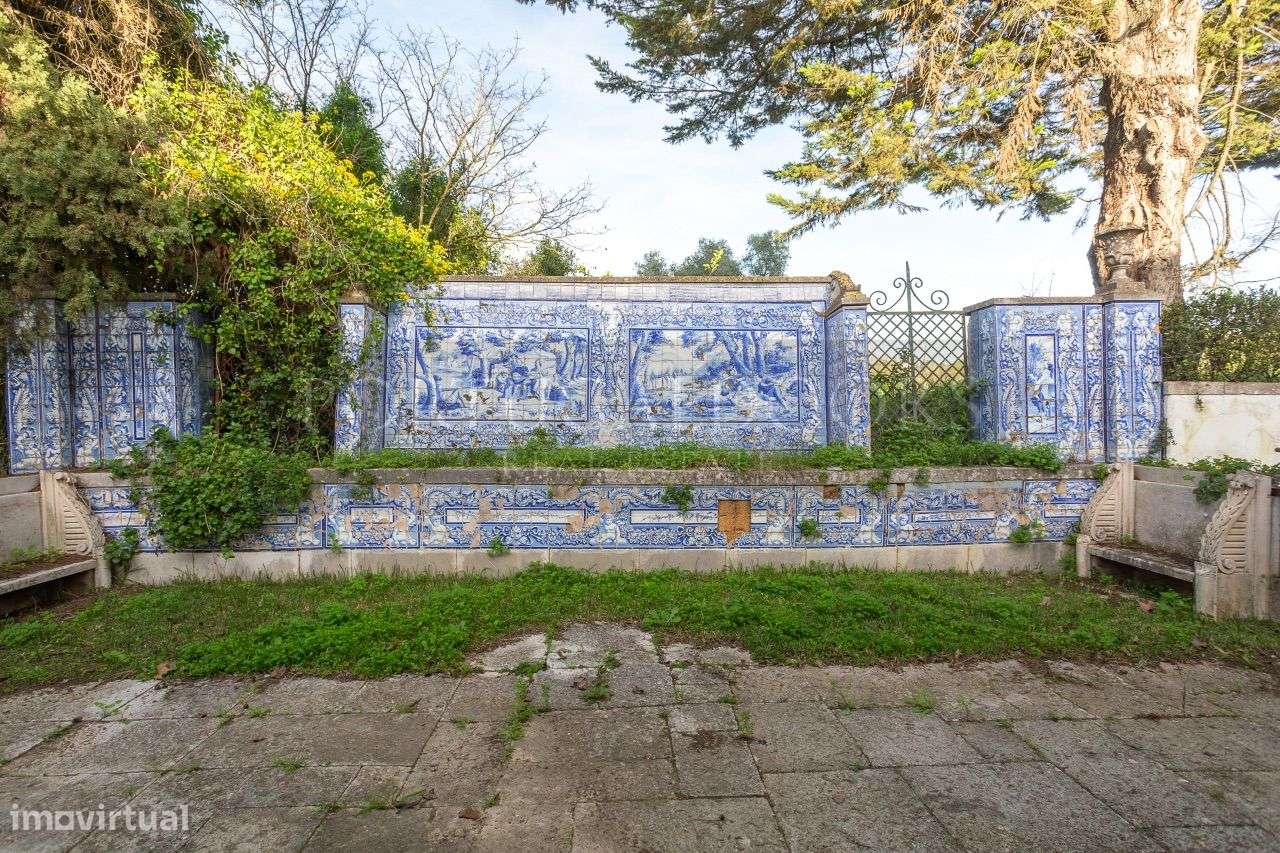 Quinta 5Ha em Azeitão-14