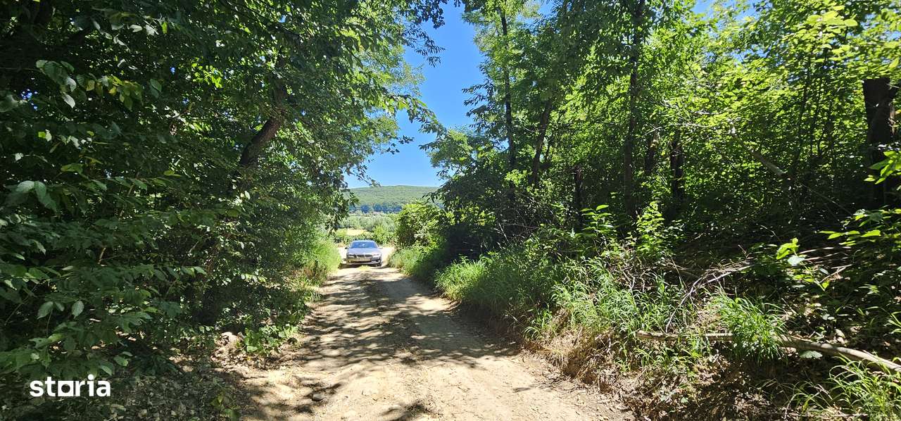 Vand teren intravilan de constructii situat la sosea, Tropinii Noi,PUZ-15