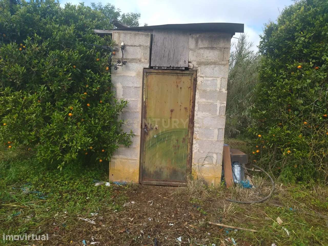 Terreno Rústico á Venda em Quelfes -  Algarve, 5560m2,  85,000€ - Grande imagem: 4/11