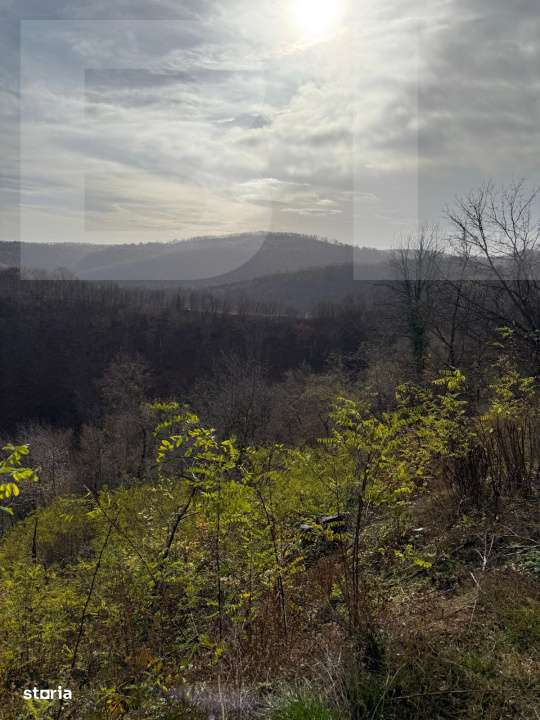 Teren extravilan impadurit, 8271 mp ideal pentru investitie. - Imagine principală: 2/6