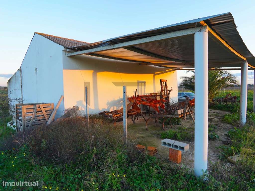 Terreno / Vinha em Reguengos de Monsaraz - 7,35 Hectares - Grande imagem: 4/22