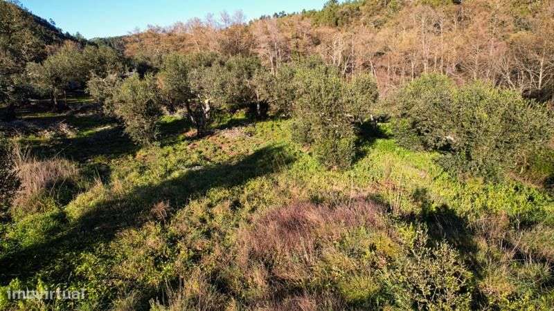 Terreno - Grande imagem: 3/17