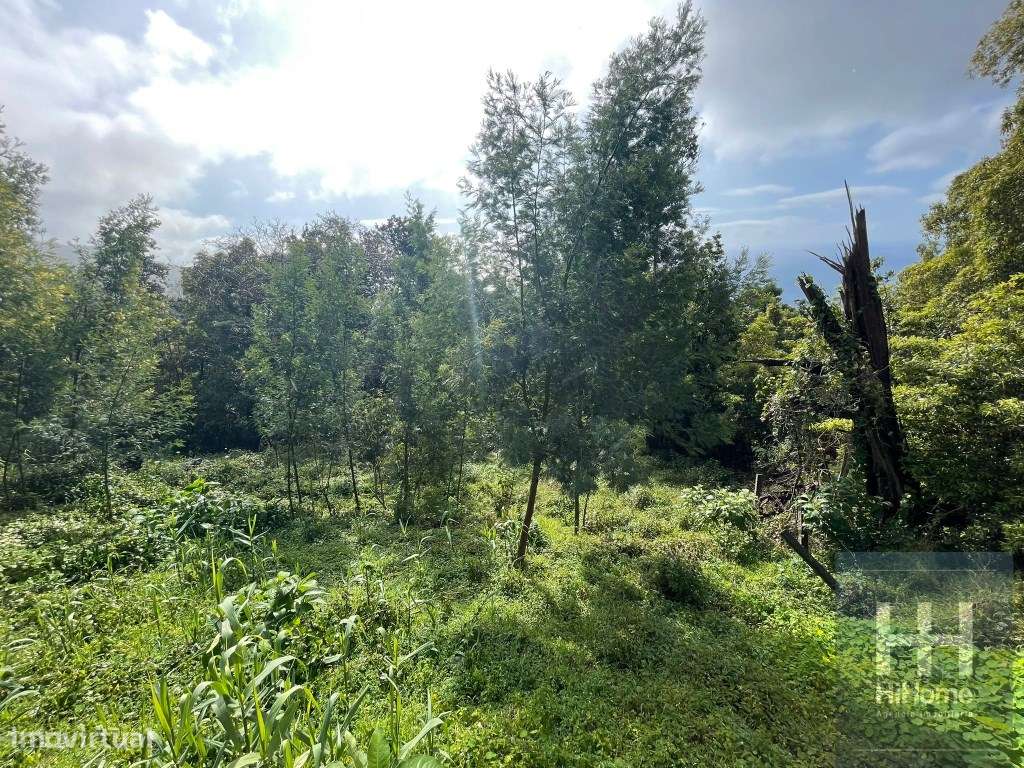 Terreno com 590 m2 no Monte no Funchal - Grande imagem: 5/17