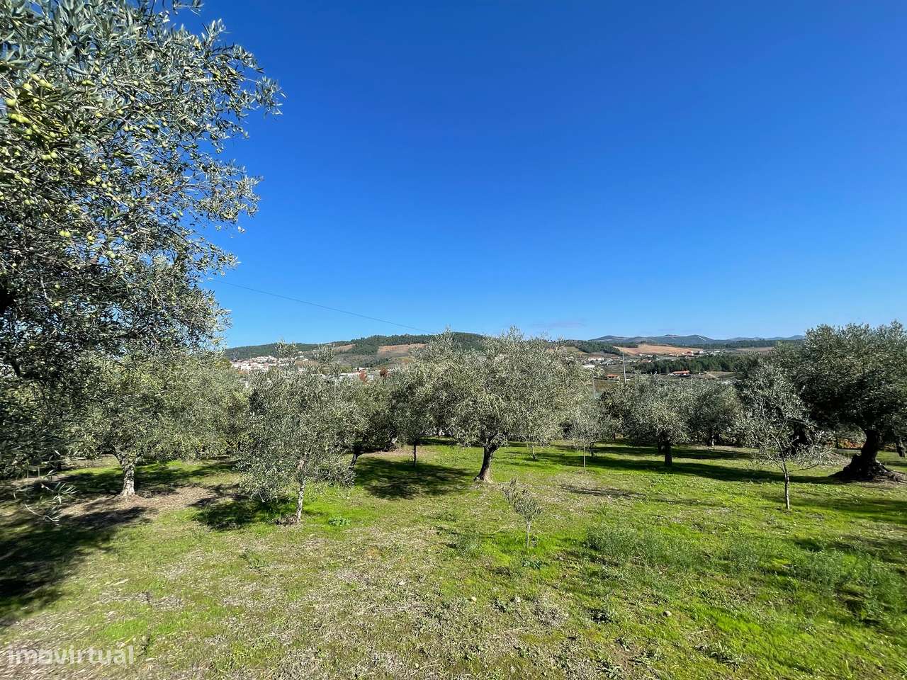 QUINTA EM MURÇA | CASA SENHORIAL | OPORTUNIDADE INVESTIMENTO-44
