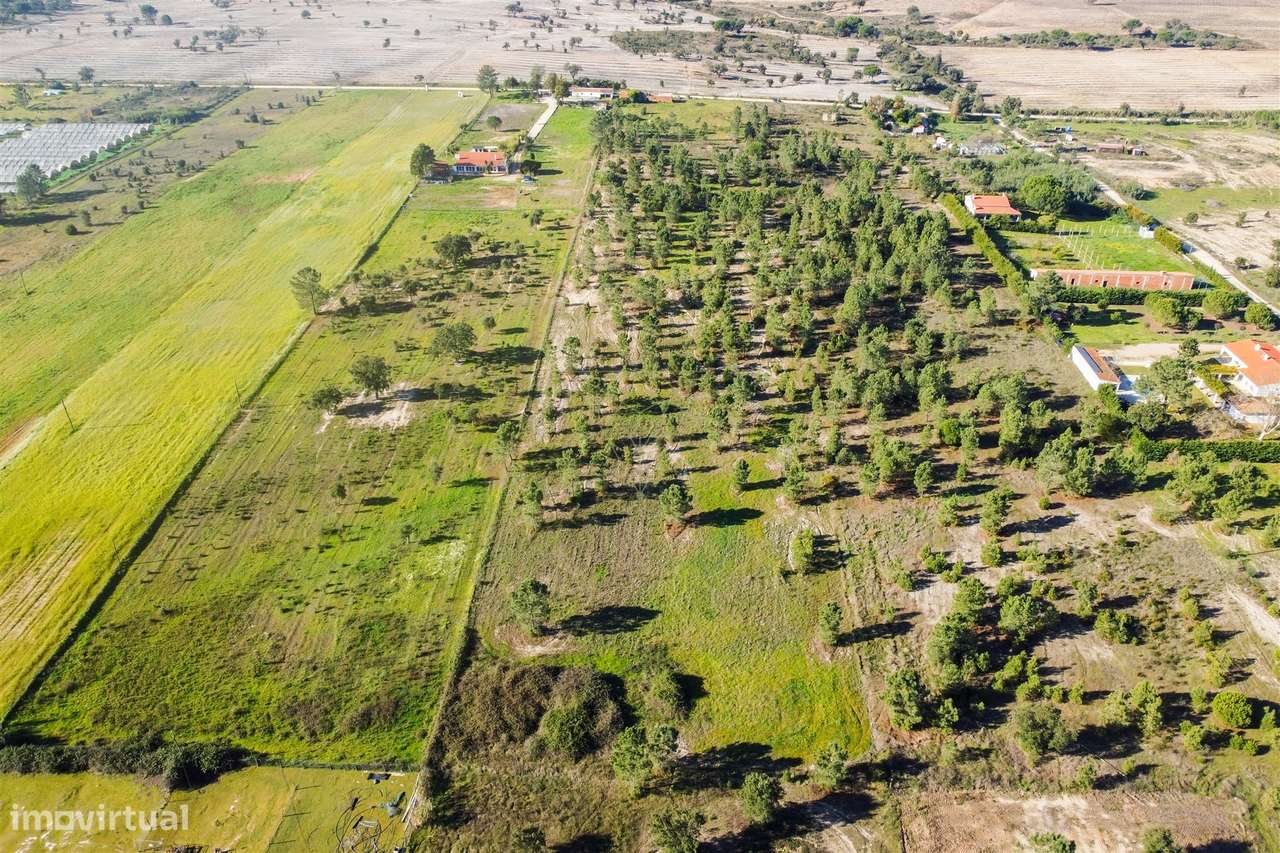 Terreno  Venda em Benavente,Benavente - Grande imagem: 4/8