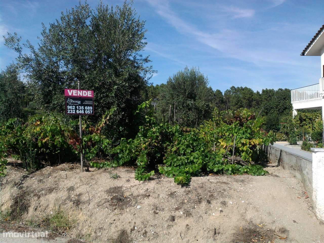 Terreno para construção em Campina, Penalva do Castelo - Grande imagem: 4/5