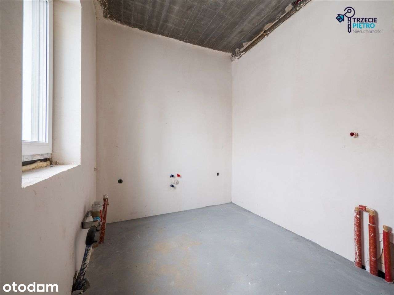 100M2|Las|435M2 Działki|Nowy-10