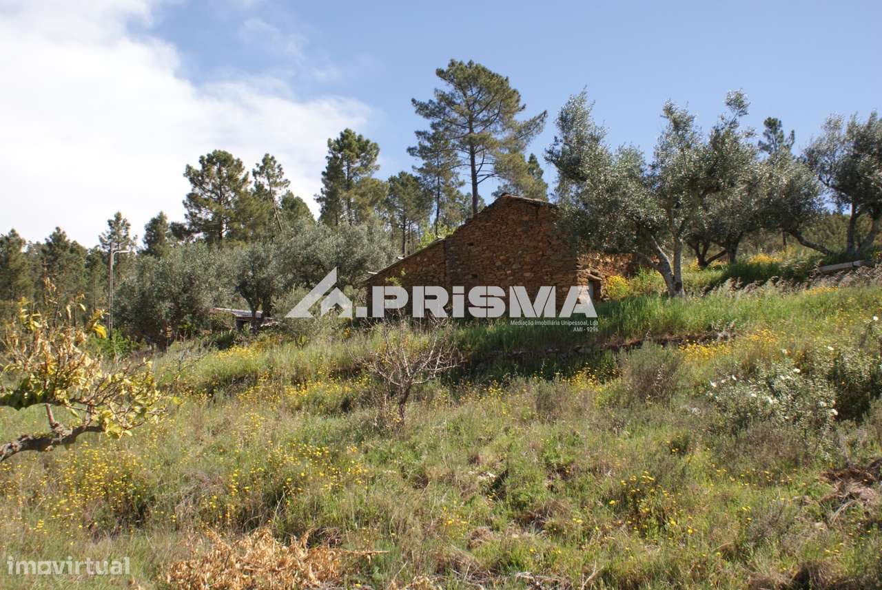 Terreno Rústico para Venda em Martim Branco - Grande imagem: 5/26