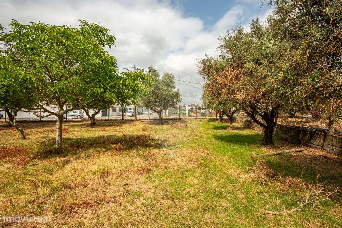 Terreno  para venda - Grande imagem: 5/11