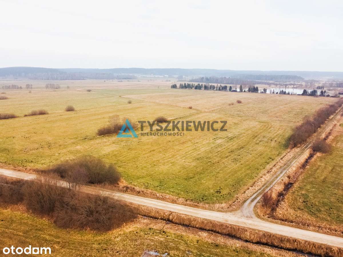 Duża działka rolna w pobliżu jeziora - Pełny obrazek: 5/20