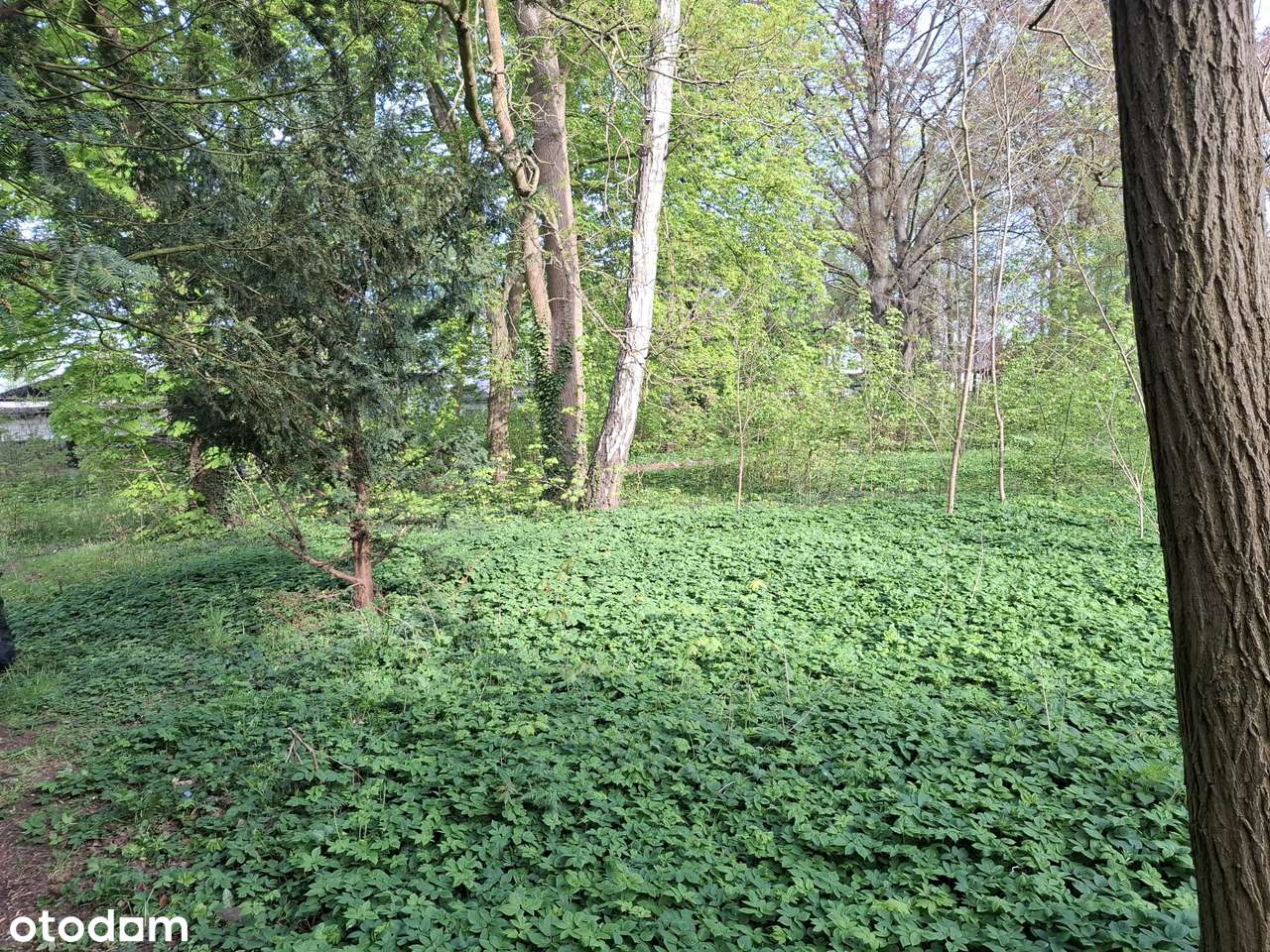 Teren inwestycyjny – Kamień Pomorski super lokalizacja centrum miasta! - Pełny obrazek: 4/6