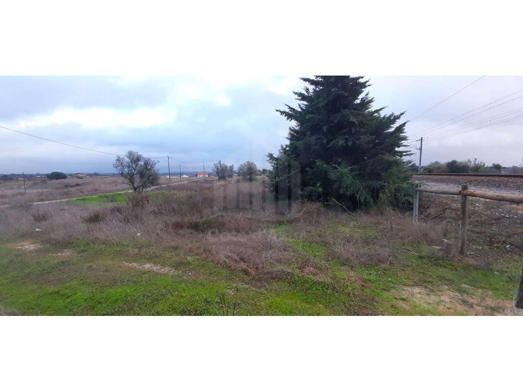 Terreno com 15.000 m² em Plena Natureza na Região de Palmela-6