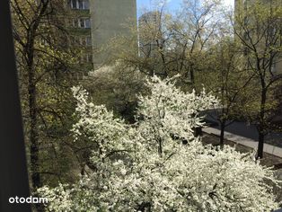 Kawalerka, ścisłe centrum, metro Świętokrzyska # Studio in city center - Pełny obrazek: 4/12