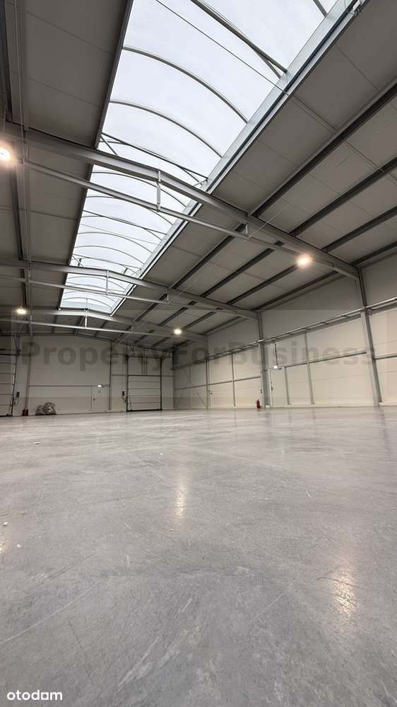 NOWY OBIEKT KOMERCYJNY | HALA + BIUROWIEC | 2024 r - Pełny obrazek: 4/10