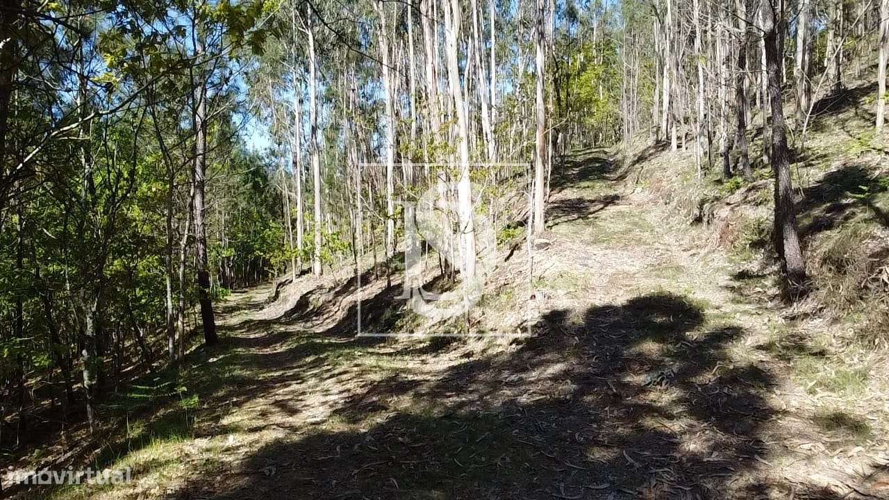 Terreno  Venda em Mosteiro,Vieira do Minho-18